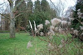 The Botanic Garden, Cambridge