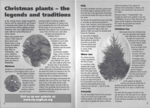 Christmas plants article