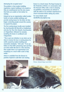 Swifts article page 2